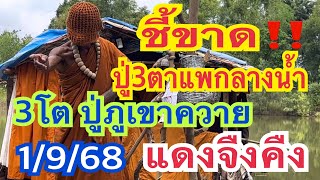 ติดฆ้องแดงจืงคืง 3โต 1/9/68