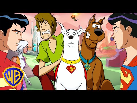 Krypto, Batman, and MORE DC Crossovers! |  Scooby-Doo! | @wbkids​