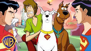 Krypto, Batman, and MORE DC Crossovers! |  Scooby-Doo! | @wbkids​
