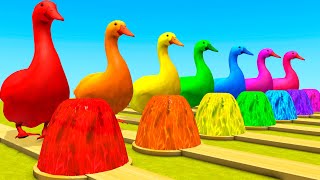 Los animales de granja y sus crías se convierten en animales salvajes en Fontana y Vanna 2
