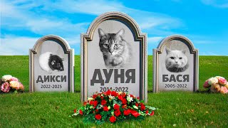 Посетили кладбище домашних животных. Навестили могилку Дуни. Ответы на вопросы про Мишку / SANI vlog