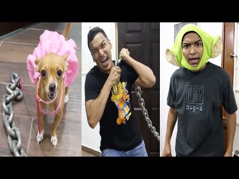 LA FIERA PESADA DE LARIN | NUEVOS VIDEOS DIVERTIDOS DE LARIN Y SUS AMIGOS DE TIKTOK | REIRÁS