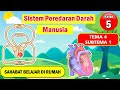 Human Circulatory System Concepts