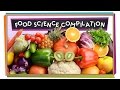 Food and Digestion Concepts