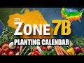 Gardening Tasks Throughout the Year