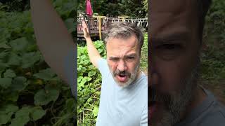 My garden needs your help