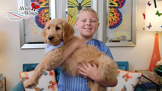 a Wish with Wings - Birdies For Charity