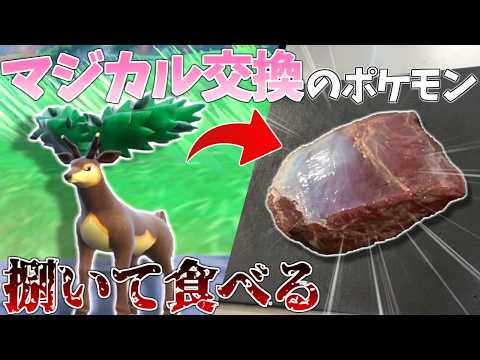 マジカル交換で来たポケモン食べる企画で肉祭り始まったｗｗｗ【ポケモンsv】