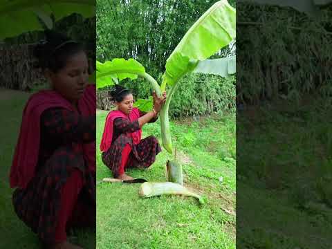 #reels #foryou #funny #comedy #shortvideo #india