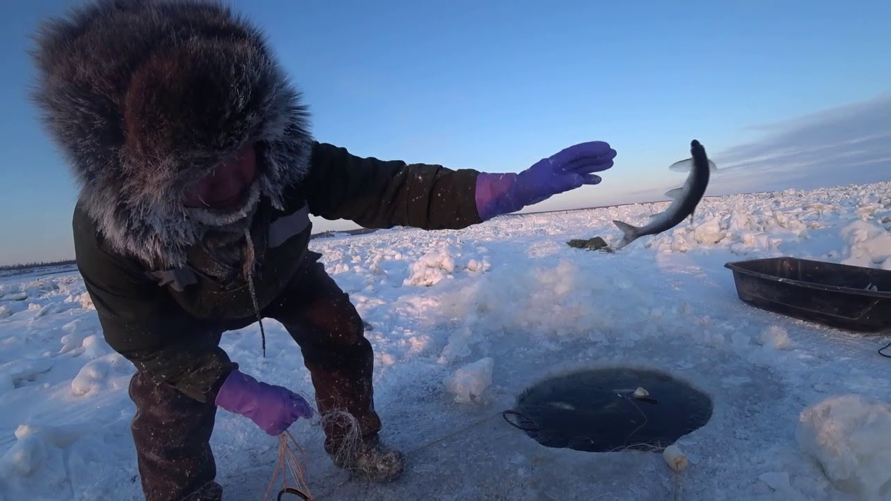 СЕКРЕТНАЯ СЕВЕРНАЯ ТЕХНИКА ЛОВЛИ РЫБЫ в Якутии
