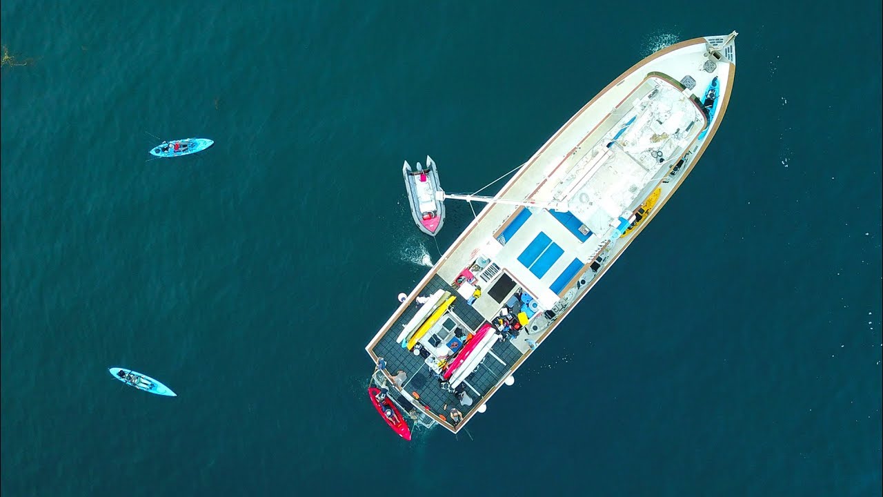 Mothershipping Kayaks 60 Miles off San Diego Field Trips VLOG