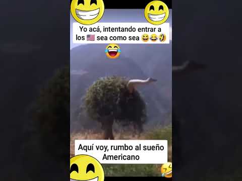 😱Por fin llegue#funny #humor #viral #memes #shorts#youtubeshorts #music#new #love#like#live#short