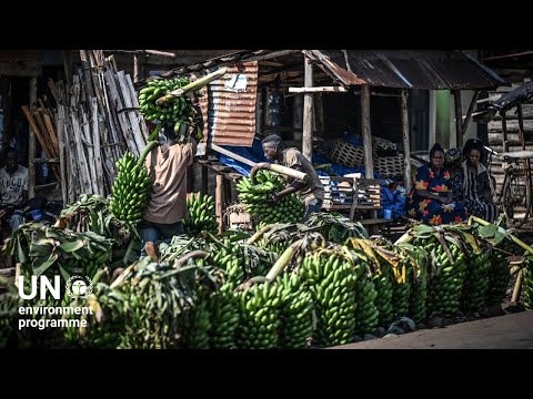 Can climate finance save Uganda's favourite food? #climateaction