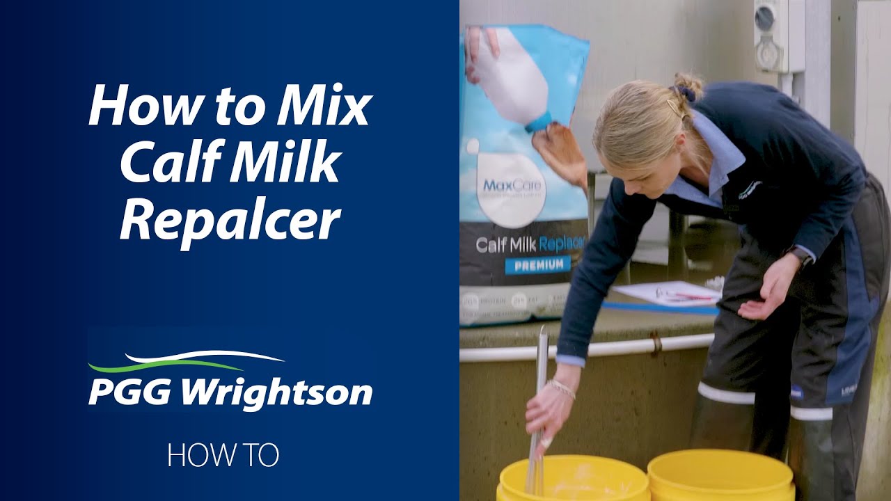 How to Mix Calf Milk Replacer