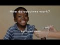 Understanding Vaccines