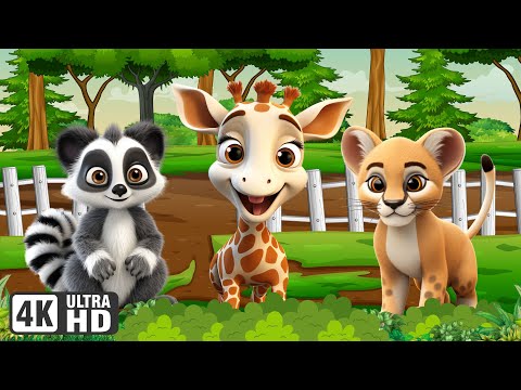 Animal Sound Collection: Lemur, Giraffe, Lion, Puma, Elephant - Animal Videos