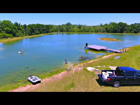 Releasing Our Pet Bass into the 5 Acre Pond! (Bonnie and Clyde)