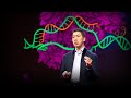 Understanding Base Editing and Genetic Mutations
