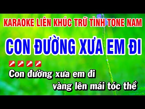 Karaoke Liên Khúc Trữ Tình Tone Nam Nhạc Sống Dễ Hát – Con Đường Xưa Em Đi | Hoài Phong Organ