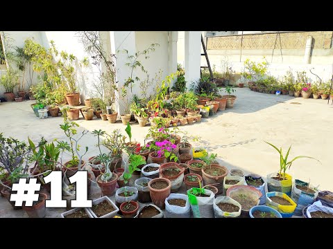 Garden Rebuild #11: Garden Overview