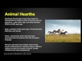 Agricultural Practices and Historical Developments
