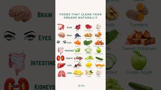 Foods That Clean Your Organs Naturally