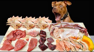 BEST DOG ASMR MUKBANG PITBULL EATING RAW FOODS