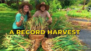 A Garden We Grew Together (our record garlic harvest of 2026)