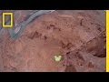 Wingsuit Base Jumping Insights