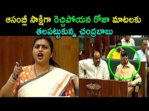MLA Roja Comments On TDP Leaders At Assembly Sessions Meeting 2019 Amaravathi | Cinema Politics