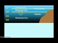 Marine Zones and Their Characteristics