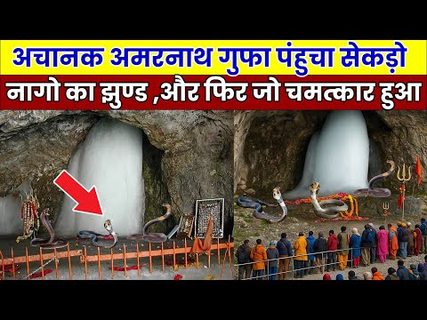 अचानक अमरनाथ गुफा पहुंचा सैकड़ों नागों का झुंड, नजारा देख सबकी रूह कांप गई / Mahadev Chamatkar