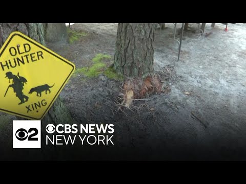 YouTube video thumbnail: Expert Discusses Lightning Strike Safety After Deadly Incident in New Jersey