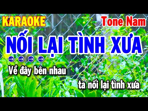 Karaoke Nối Lại Tình Xưa Tone Nam Nhạc Sống Cha Cha Chuẩn 2025 | Thanh Hải