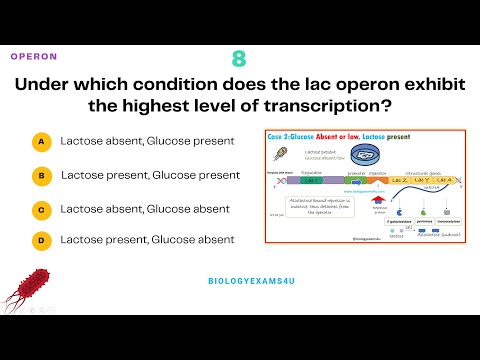 Operon Concept Objective Multiple Choice Questions with Answer and Explanation