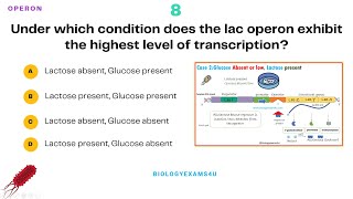 Operon Concept Objective Multiple Choice Questions with Answer and Explanation