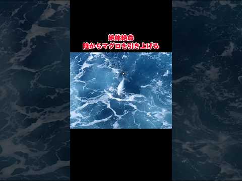 【衝撃】釣れた魚がデカすぎて持ち上がらない..#釣り#沖縄