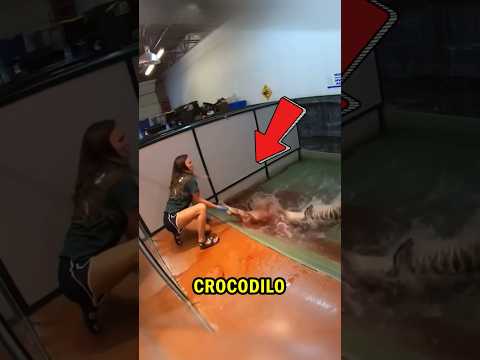 Ela ALIMENTOU seu CROCODILO de ESTIMAÇÃO, Então ISSO ACONTECEU! #pets #cuidado #natureza #amor #deus
