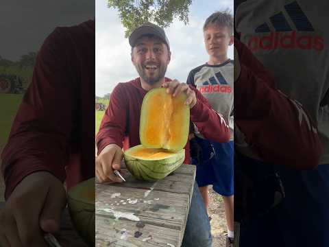 ORANGE SQUARE WATERMELON #watermelon #farming #funny #messy