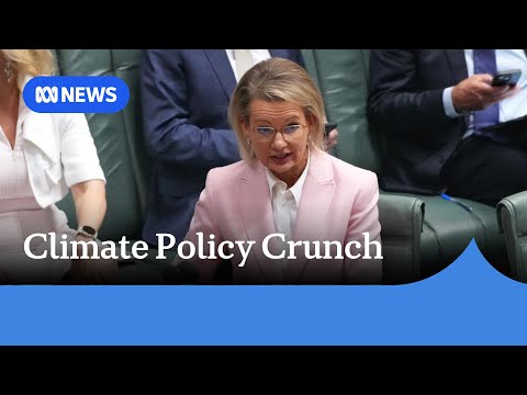 YouTube video thumbnail: Liberals Splinter as Momentum Builds Towards Dumping net Zero