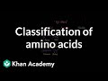 Amino Acids Characteristics and Classification