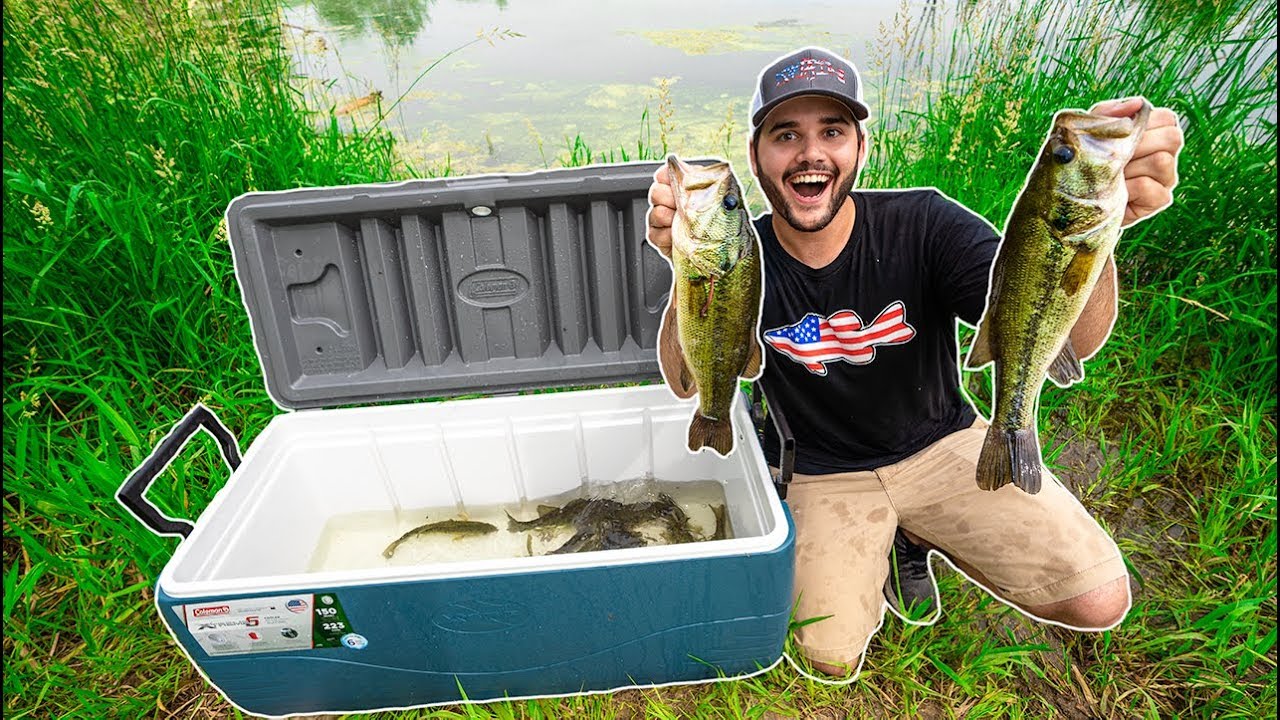 STOCKING My POND with Bass I CAUGHT while FISHING