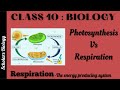 Metabolic Processes and Photosynthesis