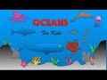 Ocean Conservation and Marine Life