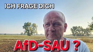 EKLAT IN TÜBINGEN! SIE ZEIGTEN SICH WIEDER VON IHRER BESTEN SEITE!
