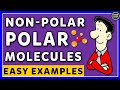 Understanding Polar and Non-Polar Molecules
