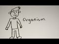 Exploring the Levels of Biological Organization