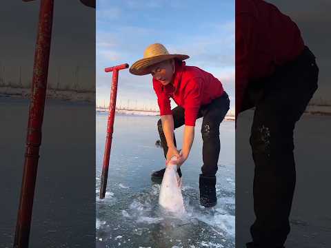 This man found a very expensive fish in the ice #shortsvideo