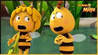 Una tarta para la reina | La Abeja Maya 🐝 25' Compilación