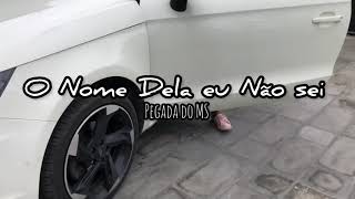 O NOME DELA EU NÃO SEI/Pegada Do MS